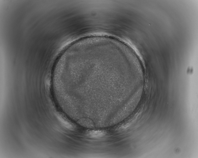 X0000099310063200805231412