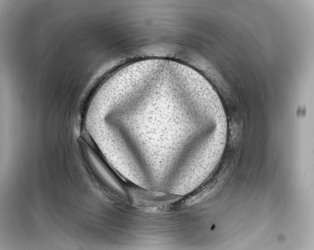 X0000099310064200805231412