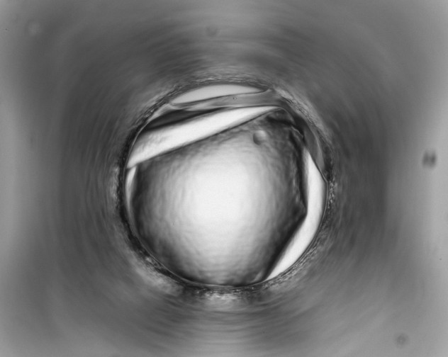 X0000099310066200805231412