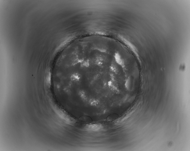 X0000099310067200805231412