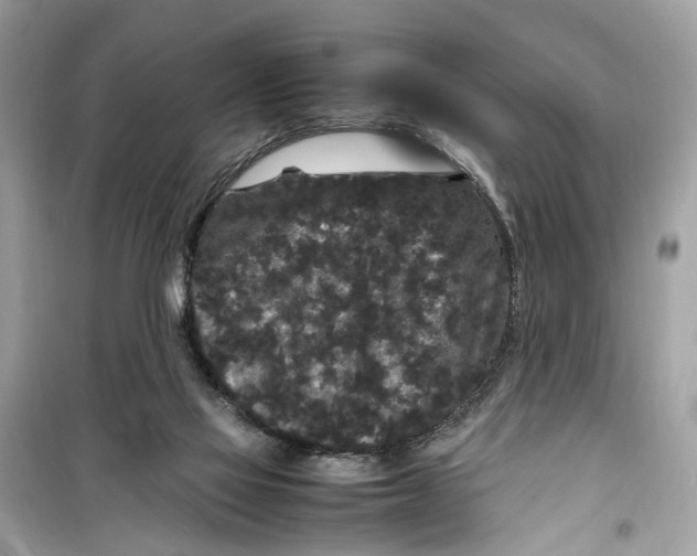 X0000099310069200805231412