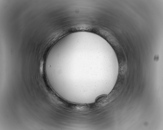 X0000099310070200805231412