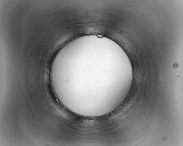 X0000099310071200805231412