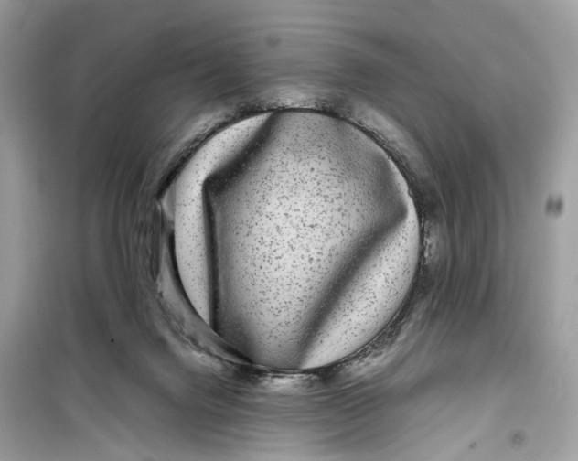 X0000099310072200805231412