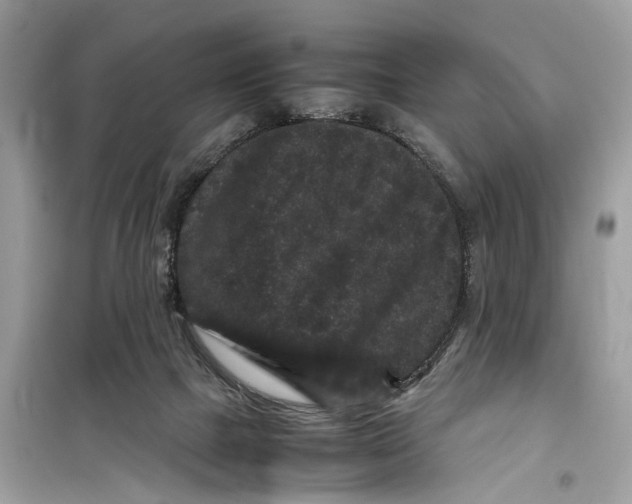 X0000099310073200805231412