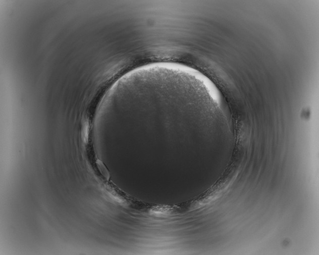 X0000099310076200805231412