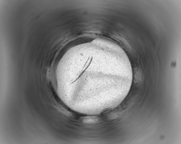 X0000099310077200805231412