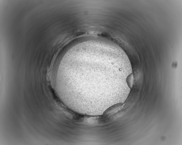 X0000099310078200805231412