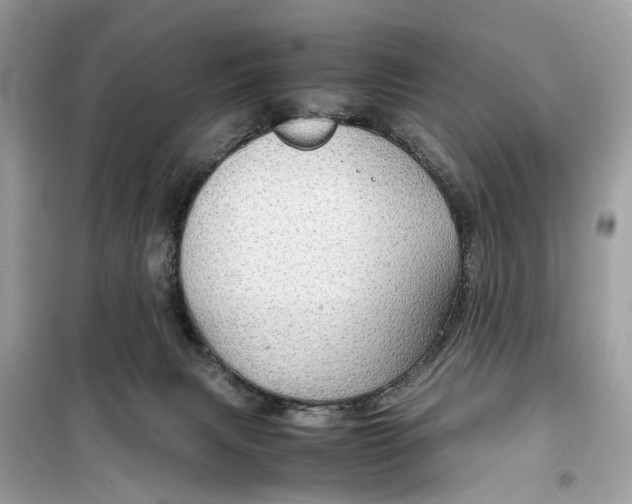 X0000099310079200805231412