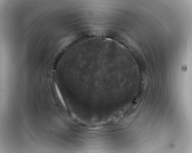 X0000099310080200805231412