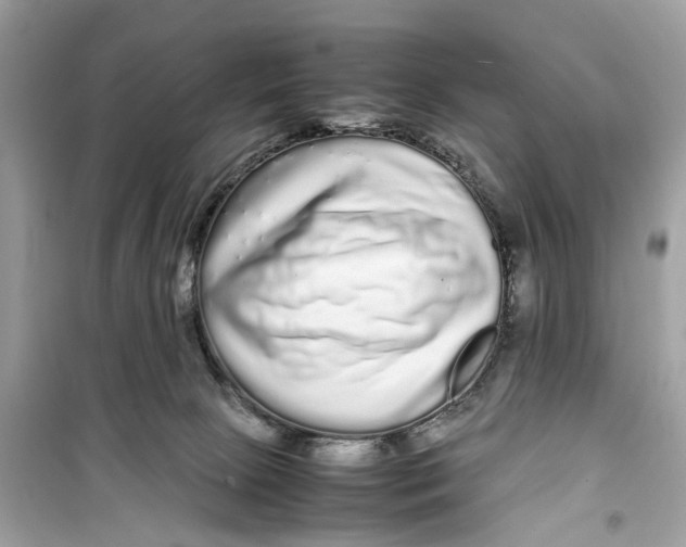 X0000099310081200805231412