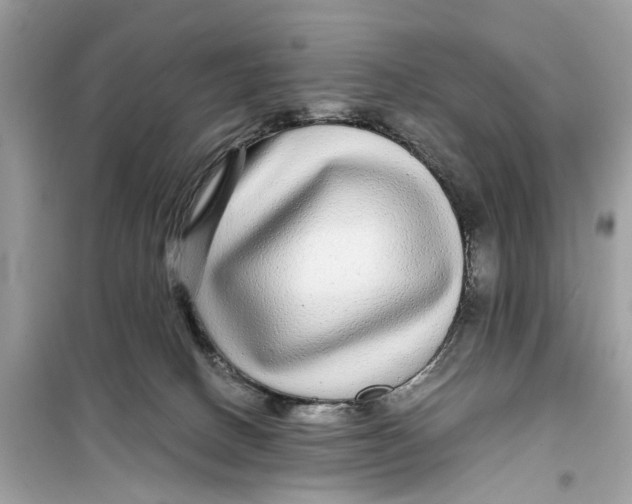 X0000099310082200805231412