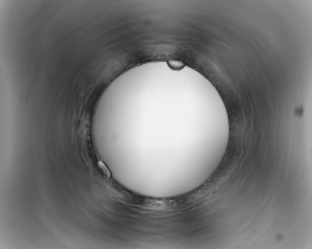 X0000099310083200805231412