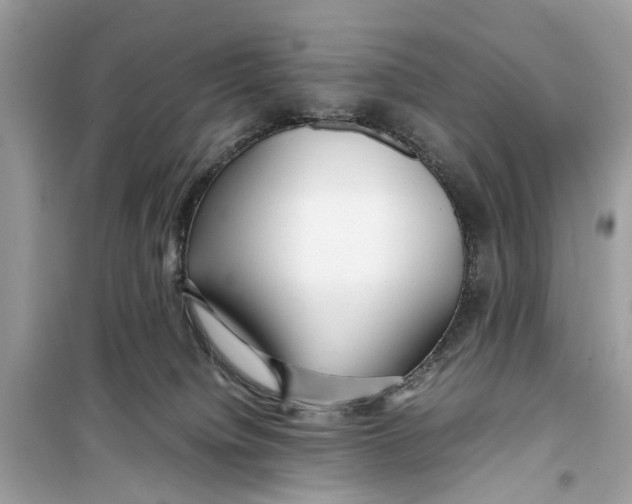 X0000099310084200805231412