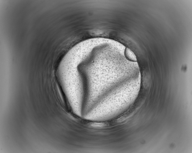 X0000099310085200805231412