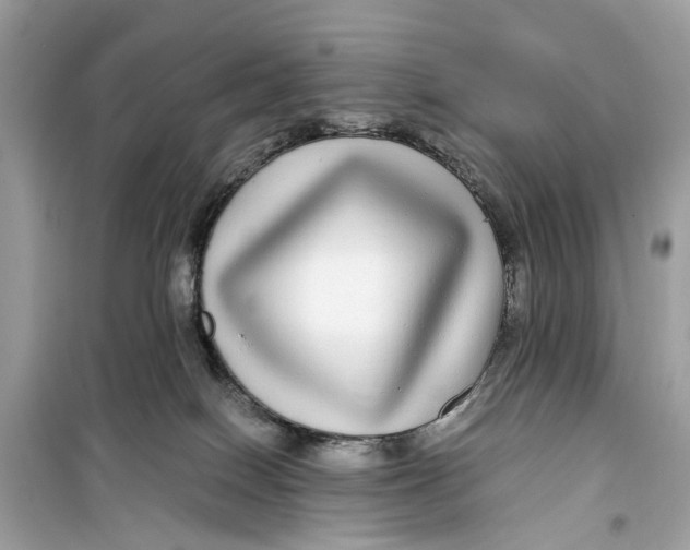 X0000099310086200805231412