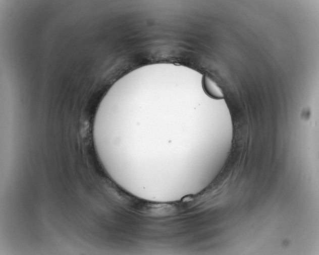 X0000099310087200805231412