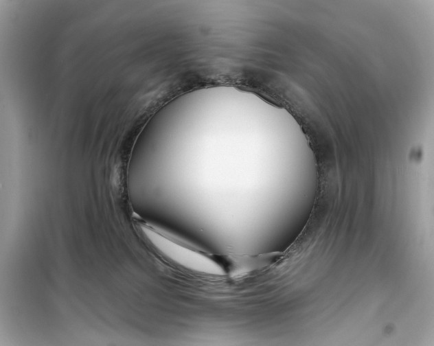 X0000099310088200805231412