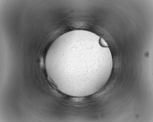 X0000099310089200805231412