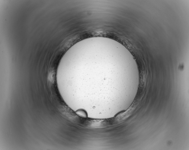 X0000099310090200805231412