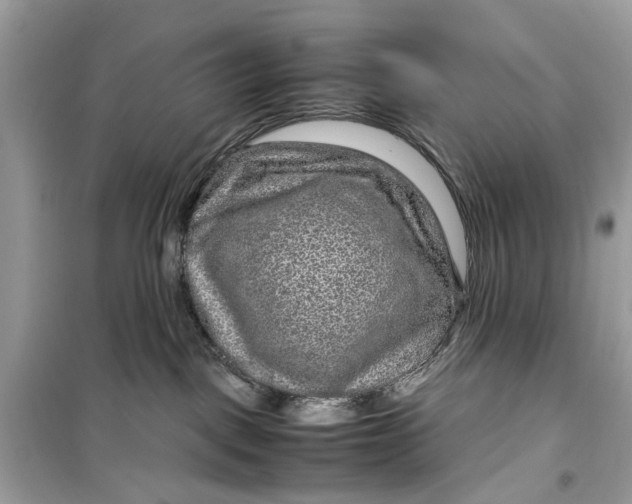 X0000099310093200805231412