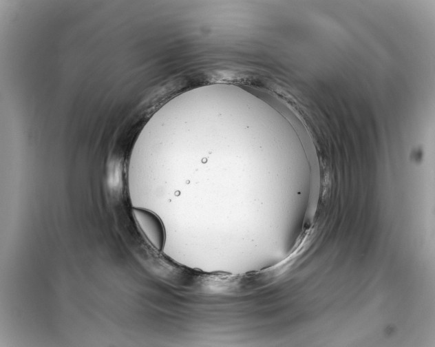 X0000099310094200805231412