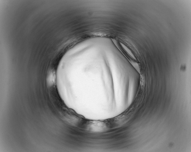 X0000099310095200805231412