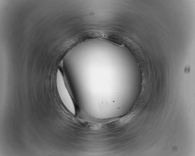 X0000099310096200805231412