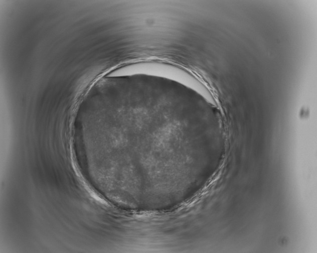 X0000099310097200805231412