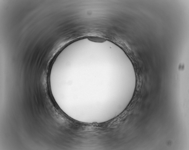 X0000099310098200805231412