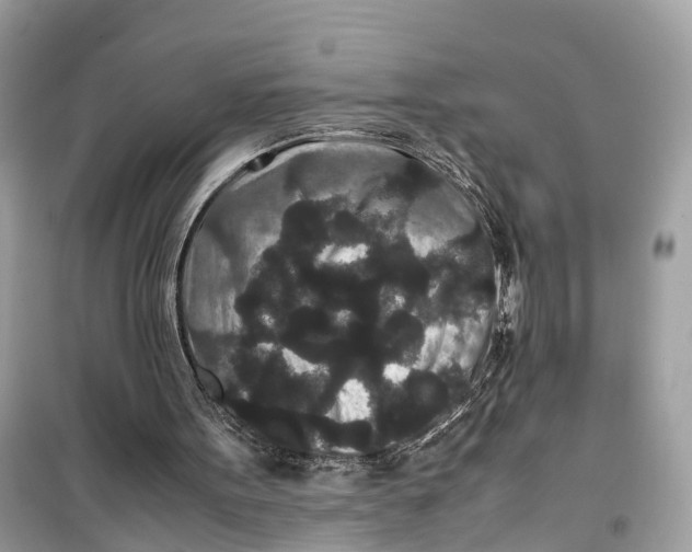 X0000099310099200805231412