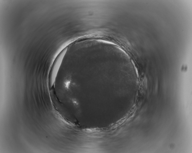 X0000099310100200805231412