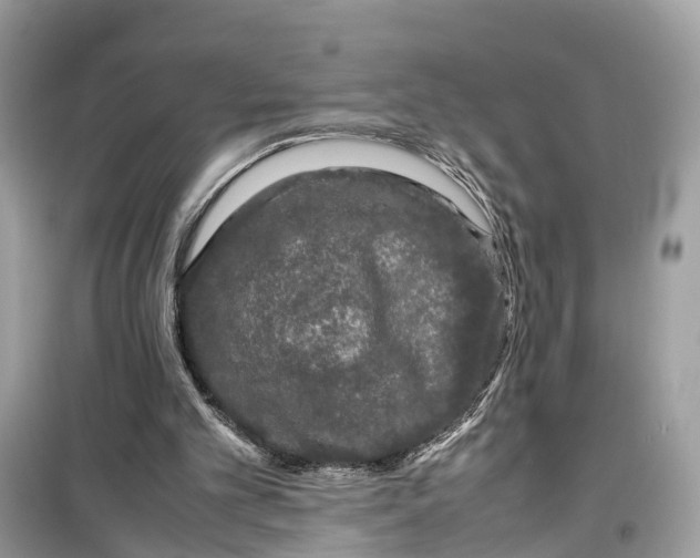 X0000099310101200805231412