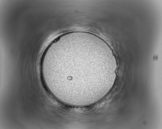 X0000099310103200805231412