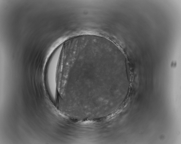 X0000099310104200805231412