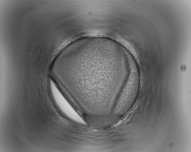 X0000099310105200805231412