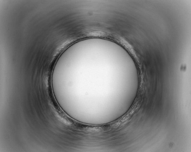 X0000099310106200805231412