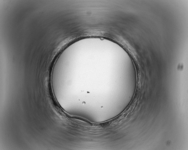 X0000099310107200805231412