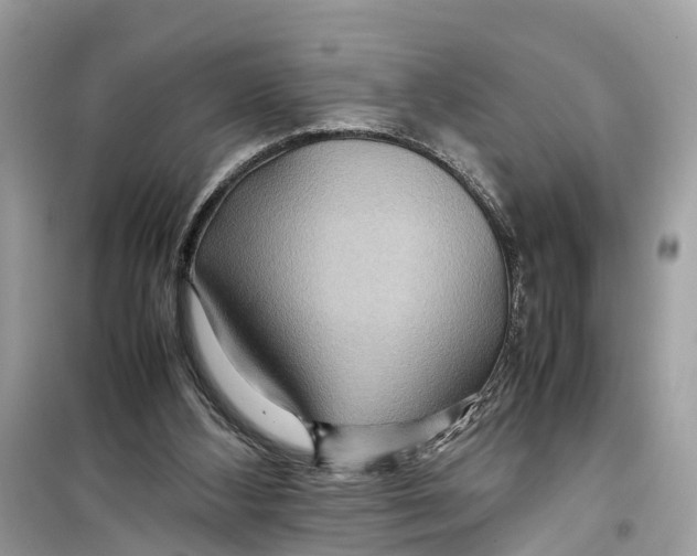 X0000099310108200805231412