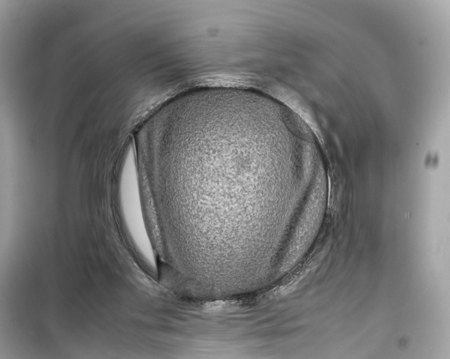 X0000099310109200805231412