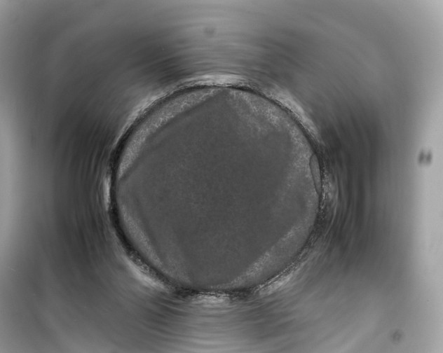 X0000099310110200805231412