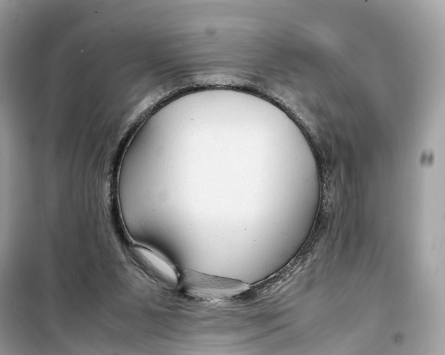 X0000099310111200805231412