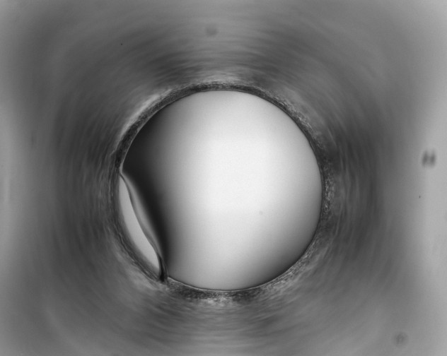 X0000099310112200805231412