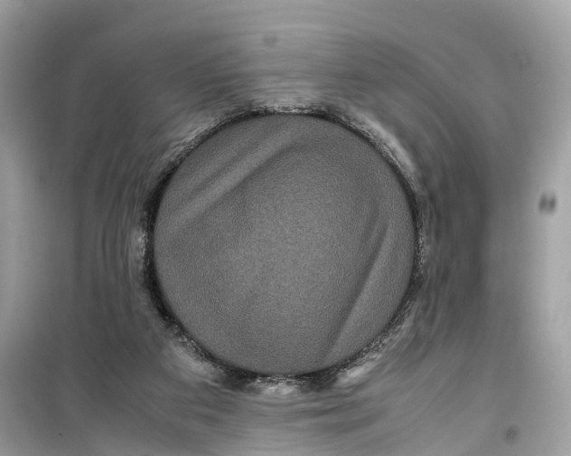 X0000099310113200805231412