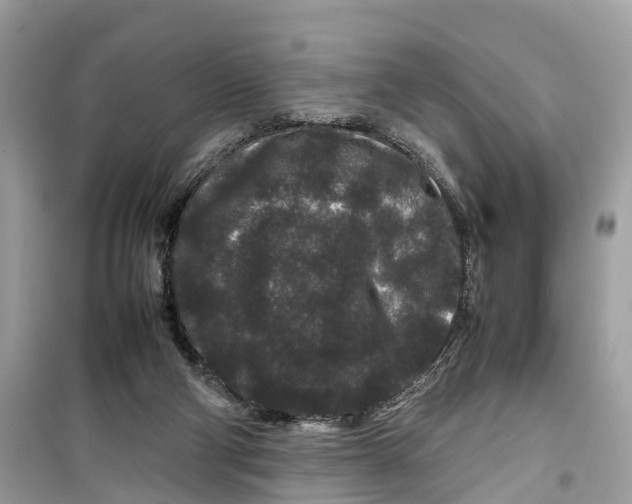 X0000099310114200805231412