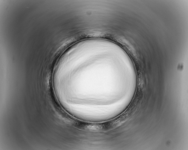 X0000099310115200805231412