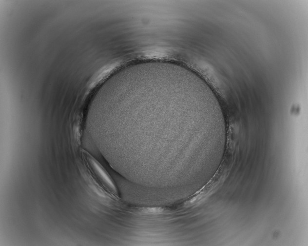 X0000099310116200805231411