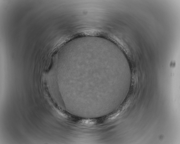 X0000099310117200805231411