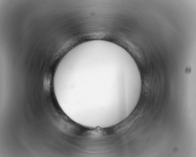 X0000099310118200805231411