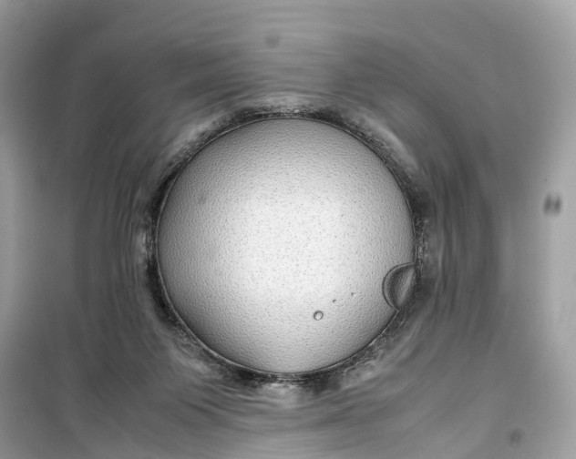 X0000099310119200805231411